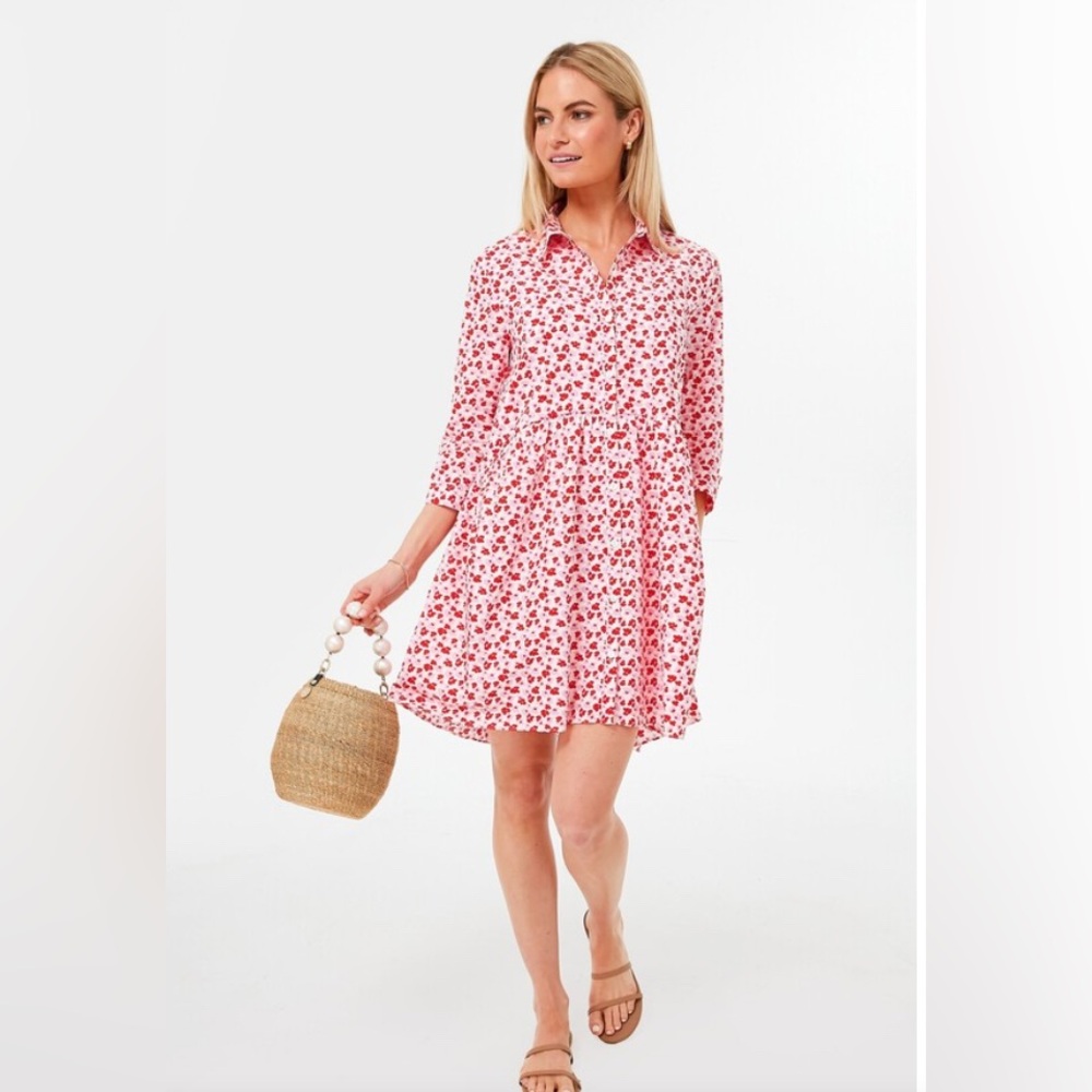 Hyacinth House Pink and Red Floral Valentina Mini Dress, Size L